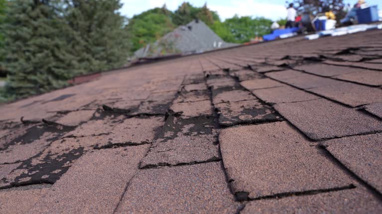 Best Asphalt Shingles Roofing  in Taylor, AL