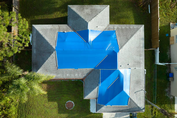 Trusted Taylor, AL Roofing Service Experts