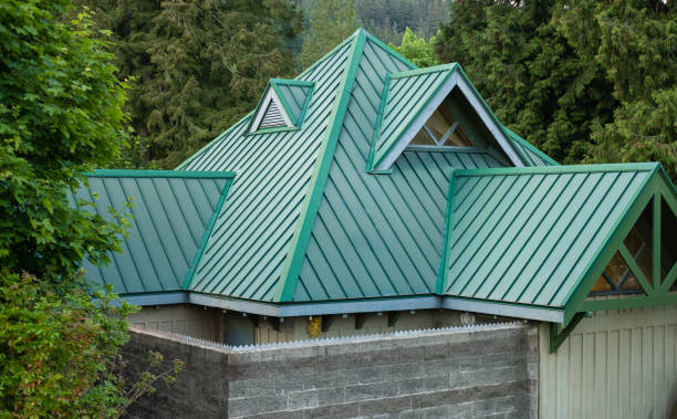 Best Storm Damage Roof Repair  in Taylor, AL