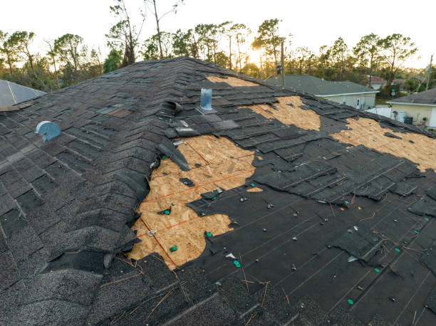 Best Tile Roofing Installation  in Taylor, AL