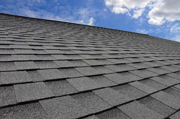 Best Roof Leak Repair  in Taylor, AL